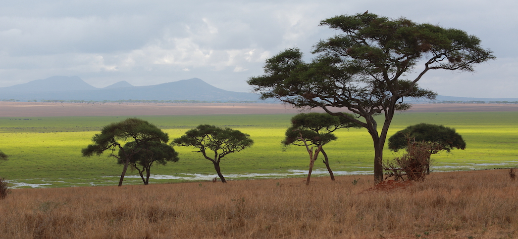 tarangire-national-park-1i2a9377